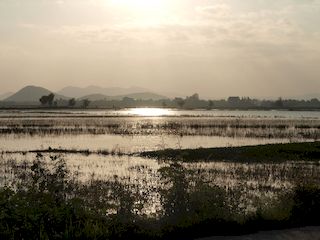 zonsondergang over de rijstvelden, Hue • Vietnam